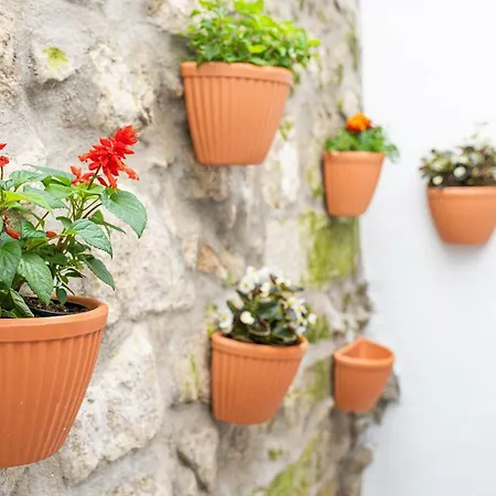 Zd Moreira Flats A By Portoproperties4you Appartement