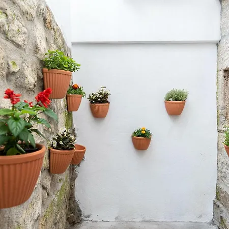Zd Moreira Flats A By Portoproperties4you * Porto