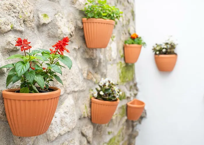 Zd Moreira Flats A By Portoproperties4you Appartement